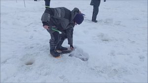 Хороший результат по форели для приманки в бюджетную стоимость. Рыбалка на спорт зоне. Клёвое место