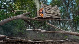 Строю теплое и удобное укрытие на поваленном дереве. Домик на дереве. Бушкрафт