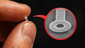 Крошечный Пончик (Почти) Нарушил Законы Физики в 1986 Году (Veritasium | Веритасиум)