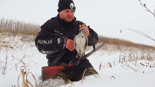 ОХОТА НА ЗАЙЦА ПОШЛА НЕ ПО ПЛАНУ. ОХОТА СЕРУЮ КУРОРАТКУ. В ПОИСКАХ ЗАЙЦА. ЗАВАЛИЛО СНЕГОМ.