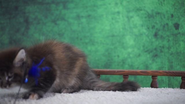 Yevgenia 2 месяца смотреть онлайн