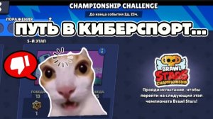 ПУТЬ В КИБЕРСПОРТ BRAWL STARS... 1 ПОПЫТКА