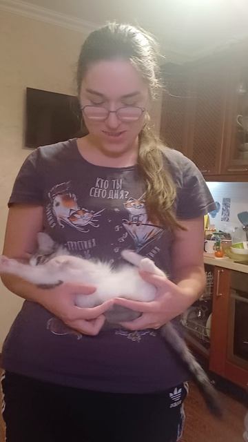 Котенок Амур смотреть онлайн