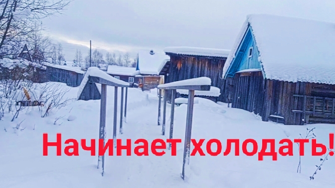 Z.Б.209. Зима, ёлки палки! Кусочек моей жизни. Жизнь продолжается! смотреть онлайн