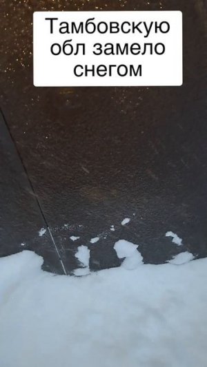 Тамбовскую область замело снегом