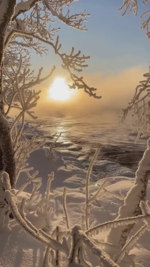 Снегом стать снегом падать