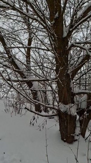 Убераем снег после метели!. Пробиваем дорогу к колодцу