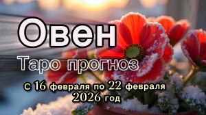 ОВЕН 💖таро прогноз ‼️16.02-22.02(2026) #прогноз #таро #овен