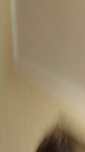 играем и разговариваем