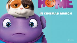 ЖИЗА ПО ДОМУ...