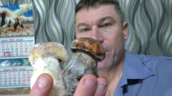 Крем суп из белых грибов НЕЖНЫЙ ПАШТЕТ ИЗ БЕЛЫХ ГРИБОВ