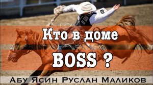Кто в доме BOSS? Кто, что и кому должен? [Полная версия]