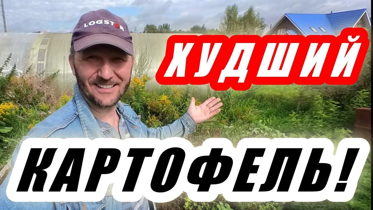 Мои самые худшие сорта картофеля и вот почему! смотреть онлайн