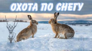 ОХОТА НА ЗАЙЦА ПО СНЕЖНОМУ ПОКРОВУ