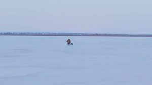 Не клюёт VID_20260128_162021