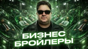 Бизнес бройлеры — эксперимент над предпринимателями