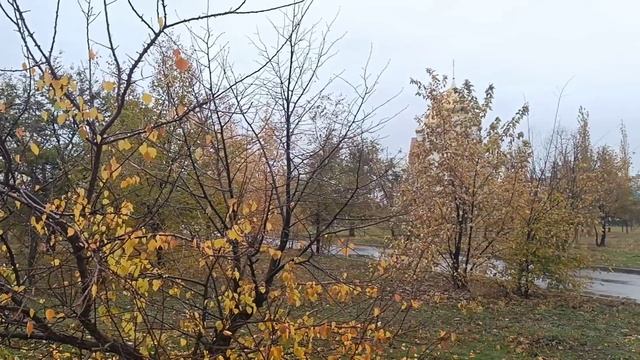 Волгодонск. Из осенних зарисовок...