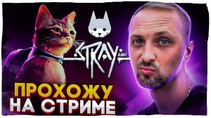 ЗУБАРЕВ ИГРАЕТ В STRAY | ПРОХОЖДЕНИЕ STRAY НА СТРИМЕ | ЧАСТЬ 1