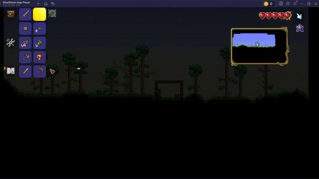 ТЕРАРИЯ начало