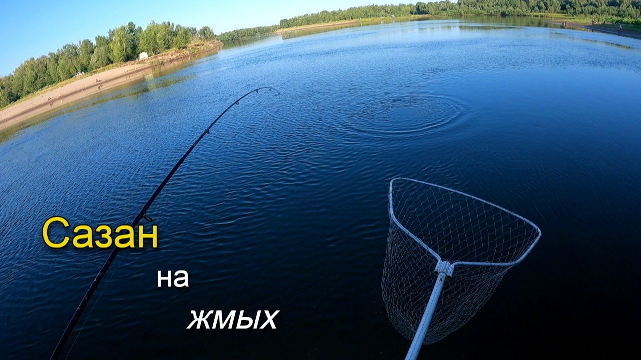 Клюнул небольшой сазанчик на жмых. Летняя рыбалка на Ахтубе смотреть онлайн