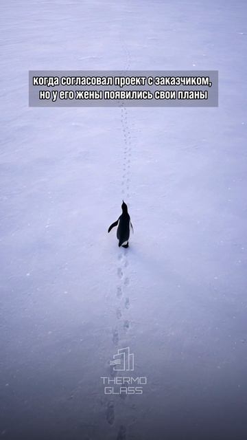 Ну и как не уйти в закат? #тренд #юмор #прикол #смешно #мем #работа #рекомендации #пингвин #ремонт смотреть онлайн