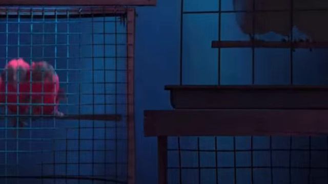 Рио мультфильм нарезка для детей и детишек #2026 смотреть онлайн