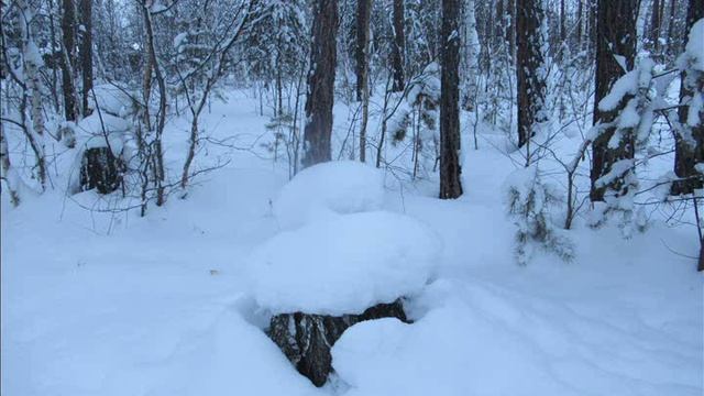 Лепетан Мор Фильм Зимушка... 1 часть.