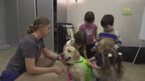 СОЮЗНИКИ_КАЗАНЬ: ПЕРЕМЕНА ВСЕГДА К ЛУЧШЕМУ