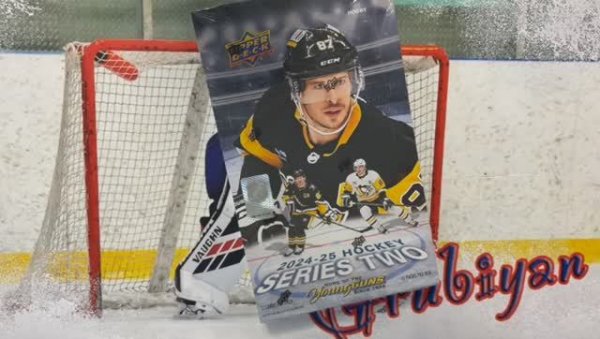 Case Hobby box (3/12) по коллекции 2024/25 Upper Deck Series 2_Аукцион №3/12