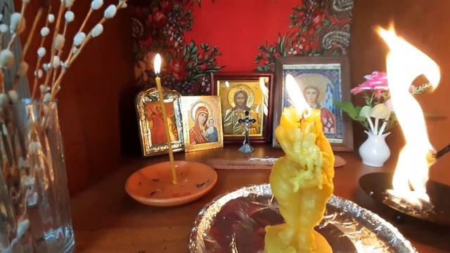 ПОЛНОТУ, ЛИШНИЙ ВЕС УБИРАЕМ, ОГНЕМ ОТЖИГАЕМ, НА СУД ВЫСШИХ СИЛ ОТПРАВЛЯЕМ! смотреть онлайн