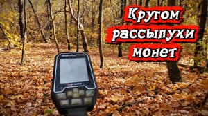Копаю россыпи монет у дома лесника.