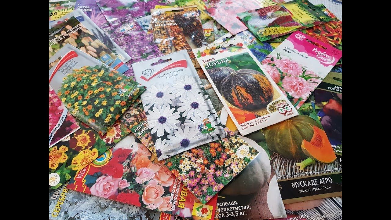 Обзор семян/Наши комнатные цветы/Готовимся к посадочному сезону смотреть онлайн