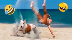 Я ржал до слез 😂 5 Минут смеха 2025 Смешные видео Лучaшие Лютые ПРИКОЛЫ Января! Подборка