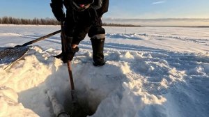 Проверка удочек.51 день.