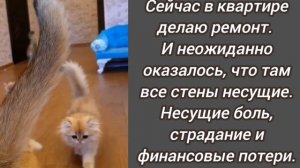 Анекдот из Сыктывкара 🤣