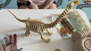 Распаковка яиц динозавров. Robo Alive Mega Dino Fossil Find. Скелет бронтозавра.