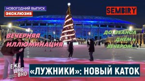 КАТОК ЛУЖНИКИ: ВЕЧЕРНЯЯ ИЛЛЮМИНАЦИЯ — ДНЁМ И ДО СЕАНСА. ЭКСКЛЮЗИВ. ЕЖЕДНЕВНО. Выпуск от 31.01.2026