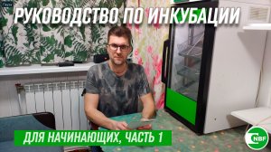 Руководство по инкубации для начинающих, часть 1