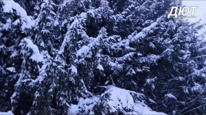 Вечерний поход в магазин 31 Января.