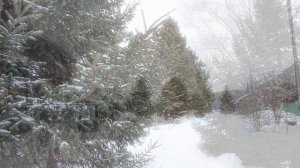 Ключи от рая