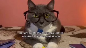 Kotiynet 6 серия 1 сезон. Страшная история.