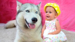 Бинго | Детские стишки и Песенки для детей+Детские сборники+Детские песенки