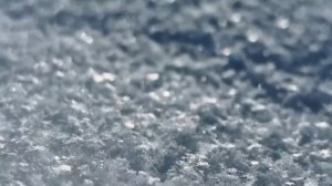 1000010604.mp4 🌲🌲🌲Зимняя прогулка 🌲🌲🌲