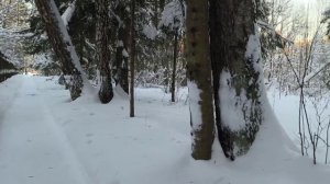 Зимний январь в Подмосковье . Учебный центр ОСФР  Голубая речка Каринское