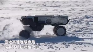 Китайцы продолжают удивлять. Собаки-роботы китайского производства