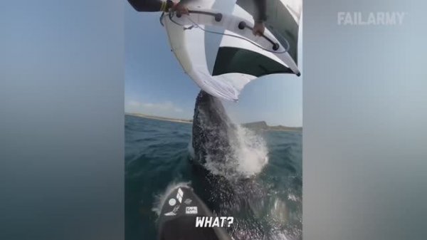 FailArmy. Crazy Fails Compilation _ Caught on Camera