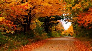 Лучшая музыка для души