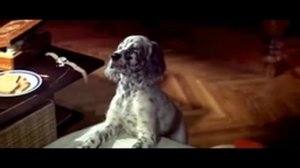 Вячеслав Тихонов и Белый Бим в одноимённом фильме.