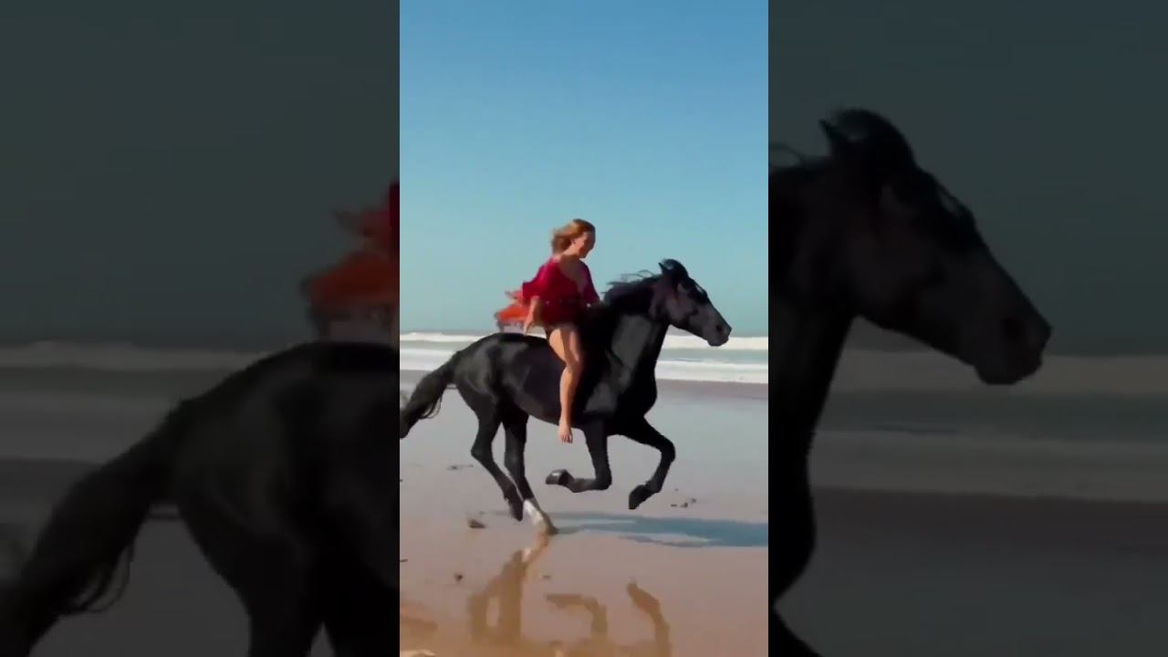 Тебя другим я не отдам... смотреть онлайн