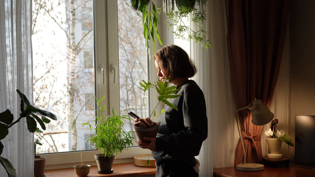 Уютный цветочный влог | Пересадка растений и обзор комнаты смотреть онлайн